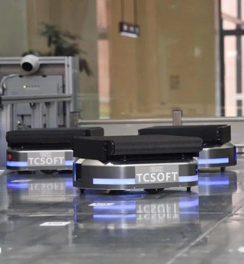 盘点生态城旅游打卡 十宗最 ,不信你都去过