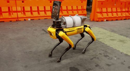 进击的机器狗 酝酿 起势 挣扎