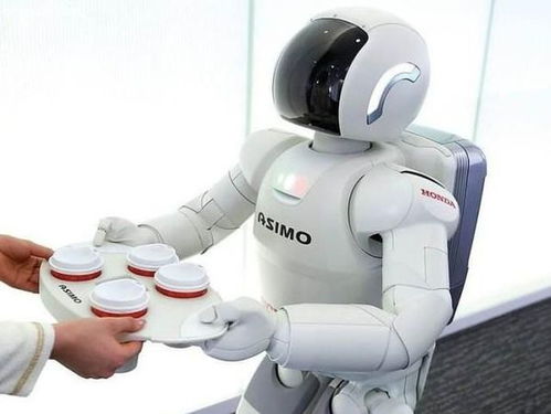 假如有一天,人类百分之九十的工作都被机器人取代了,人类该何去何从