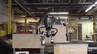 别让孩子输在起跑线 到腾讯的盒子来,干掉机器人啊